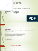 Endocrine System .