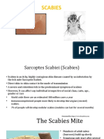 Scabies