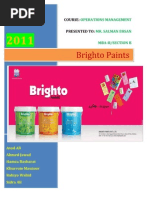 Brighto Paints Final Report