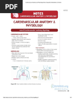 Cardiovascular Anatomy and Physiology Notes - Diagrams & Illustrations - Osmosis