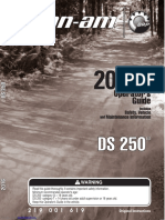 Ds 250