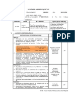 Sesiones Demostrativas - PRONAFCAP 2008