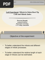 412608884mitosis in Onion Root Tip Cells and Mitotic Index