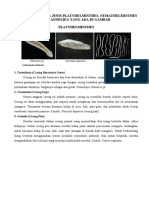 Jenis-Jenis Platyhelminthes, Nemathelminthes Dan Annelida