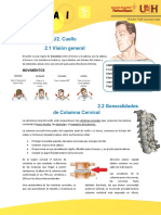 1.4 Columna Cervical