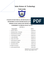 Minor Losses Lab Report