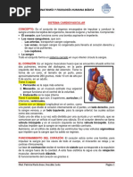 Separata Sistema Cardiovascular-2022