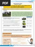 ACTIVIDAD 06 SEMANA 33 Ciclos Biogeoquimicos