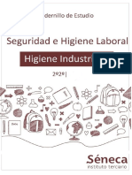 Higiene Industrial II 2017