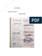 Sintesa Protein - 20542005 - Shalsabila Destyari Fathoni - BioSel