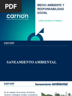 Semana 12 Saneamiento Ambiental