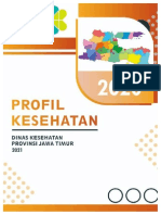 Profil Kesehatan 2020