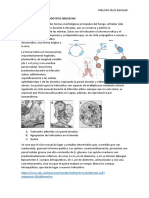 Ciclo de Vida, Pneumocystis