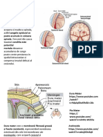 Hematomul Epidural