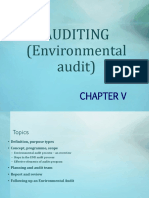 Chapter 5 Auditing