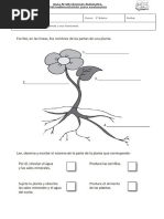 Guía N°8 Ciencias Naturales