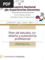 Plan de Estudio-Rosa María Torres H