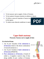 Lec 11 UL Forarm Anterior Compartment