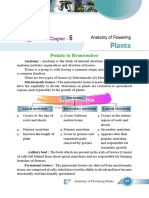 Anatomy of Flowering Plants