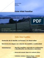 Ciclo Vital Familiar ENFA132