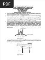 PDF Trabajo Problemas Propuestos Mecanica de Fluidos I 1 DL