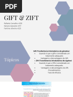 Gift e Zift