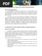 Tarea Individual 2. Trabajo Escrito. Problemas Ambientales Globales Ensayo Sobre La Deforestación