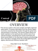 Central Nervous System