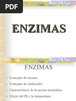 Enzimas Uap