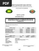 Informe Final de Proyección Social