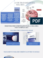 Protocolo de Tratamento Da Malária