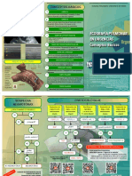 Ecografia Pulmonar