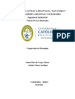 Informe CDM