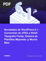 Novedades Wordpress 6.1 - Artículo Kinsta