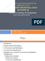 2 Relations Hypothalamus Hypophyse B