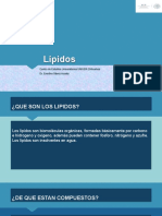 Lipidos Guadalupe Rodriguez Psicologia