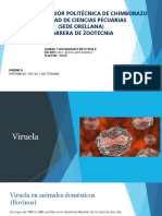 Clase - Viruela, Pseudoviruela, Papilomatosis