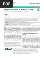 Analysis and Review of Trichomes in Plants