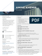 CV Amine Khemir