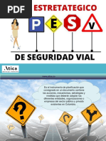 Seguridad Vial - Riesgo Publico PESV