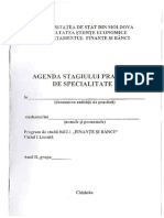 Agenda Practica de Specialitate I