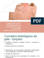 AULA 2 - Assistência de Enfermagem Nas Afecções Dermatológicas