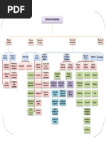 Organigrama JANIN Normas y Procedimientos