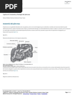 Capítulo 67 - Anatomía y Fisiología Del Páncreas