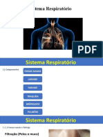 Sistema Respiratorio