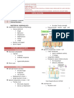 002 - Bacterial Morphology (MP Lec)