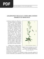 Arabidopsis Thaliana Como Organismo Modelo en Biología