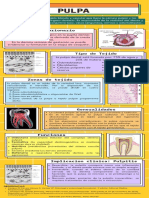 Infografía PulpaDental