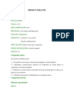 Proiect Didactic Punctul