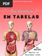 Anatomia em Tabelas - FINAL